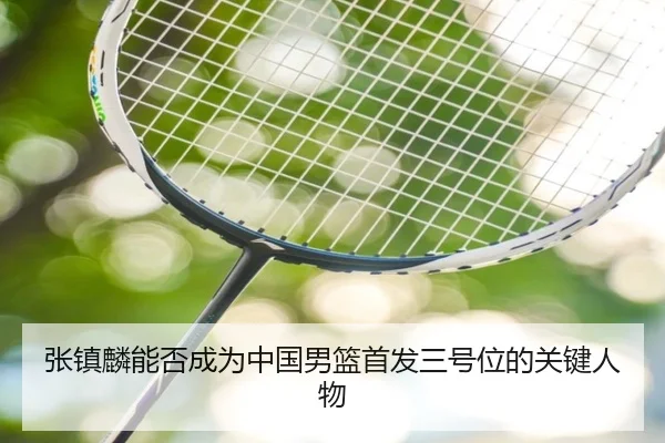 张镇麟能否成为中国男篮首发三号位的关键人物